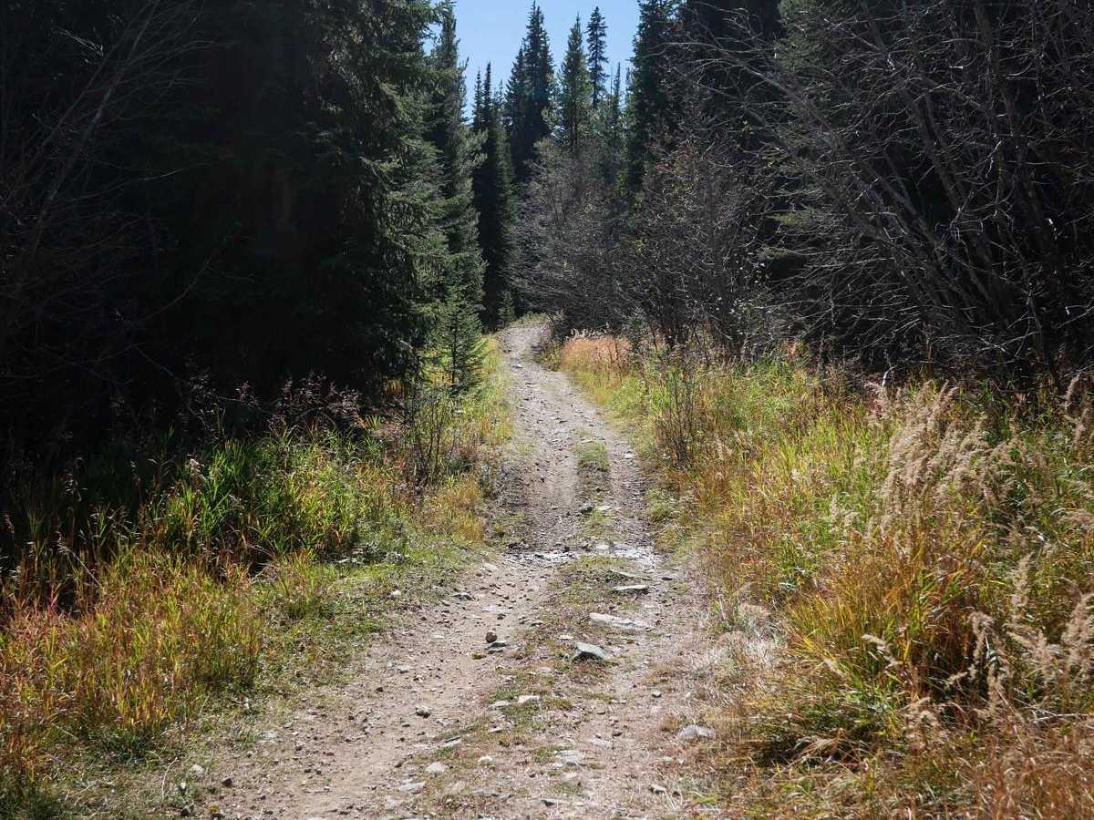Elk Creek ATV Loop trail photo