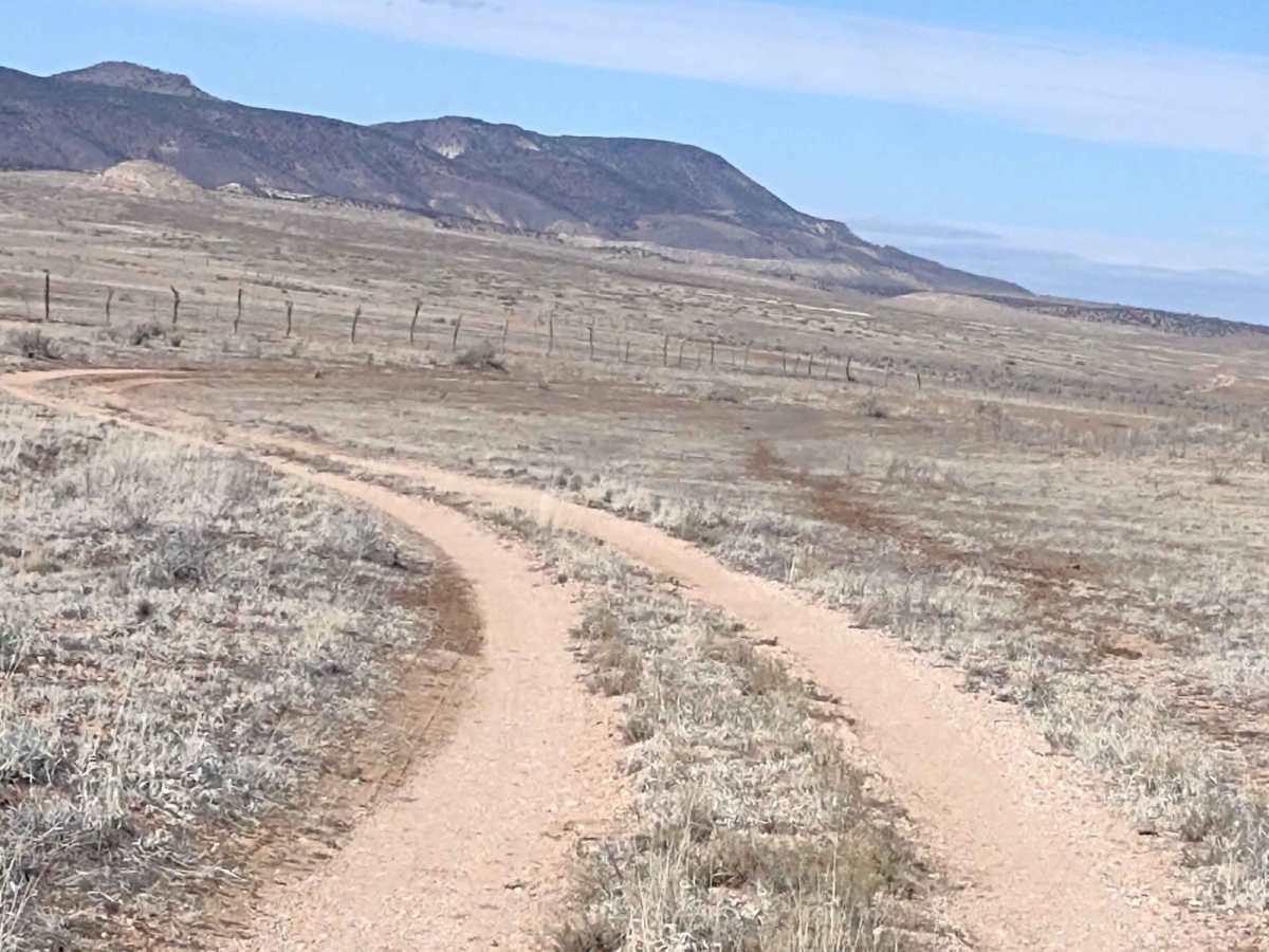 Northern Arizona High Desert (Part 2) photo 3