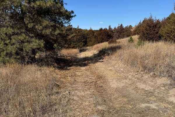 Forest Road 211 - Camp 2 Road