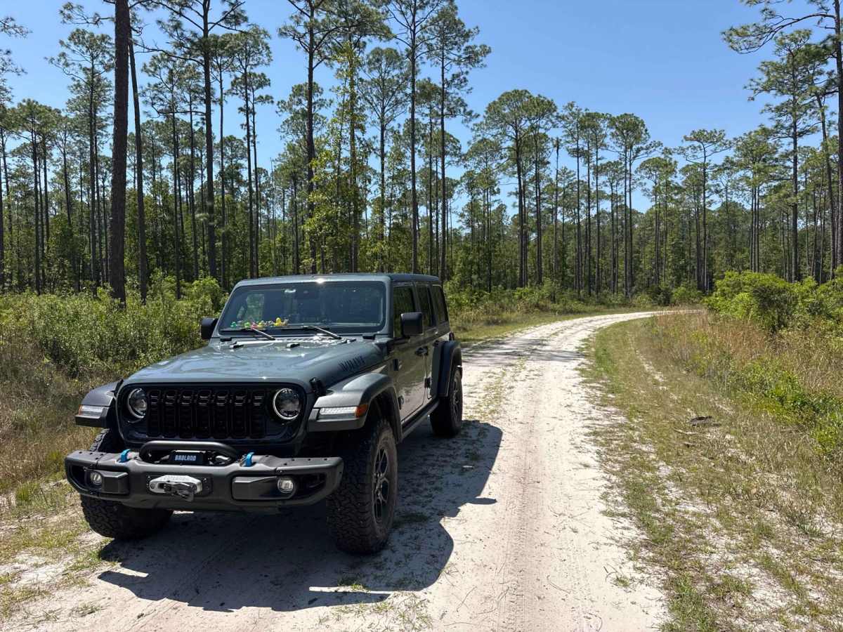 Gum Dip - Osceola NF 284 photo 4