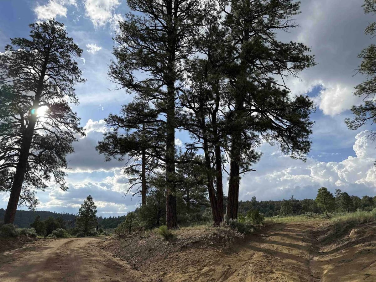 American Canyon - FSR 310 photo 5