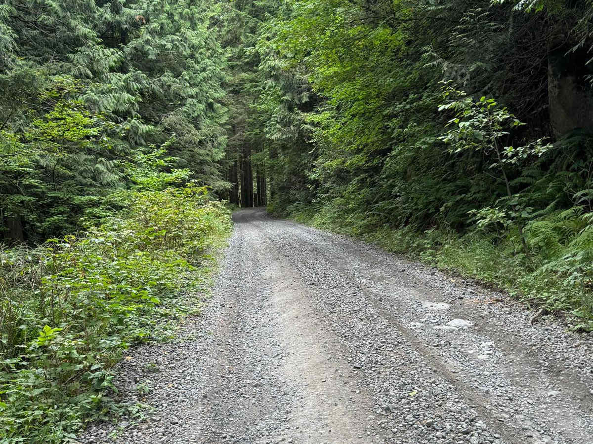 CG 1400 Connecting Trail photo 2