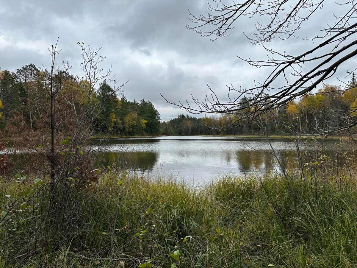 Hemmings Lake Road photo 2