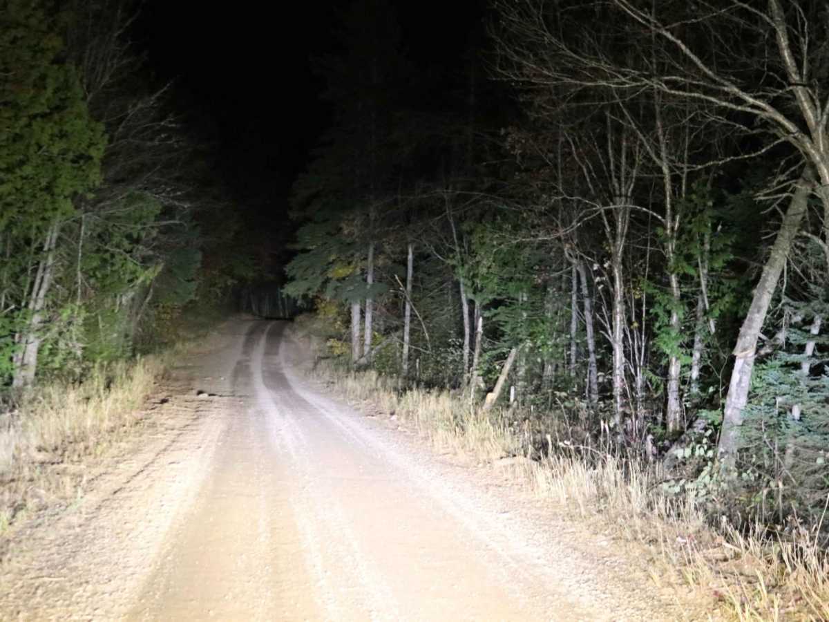 Herman - Nestoria trail photo