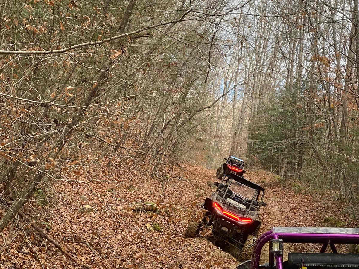 Lickfork Branch Hill photo 4