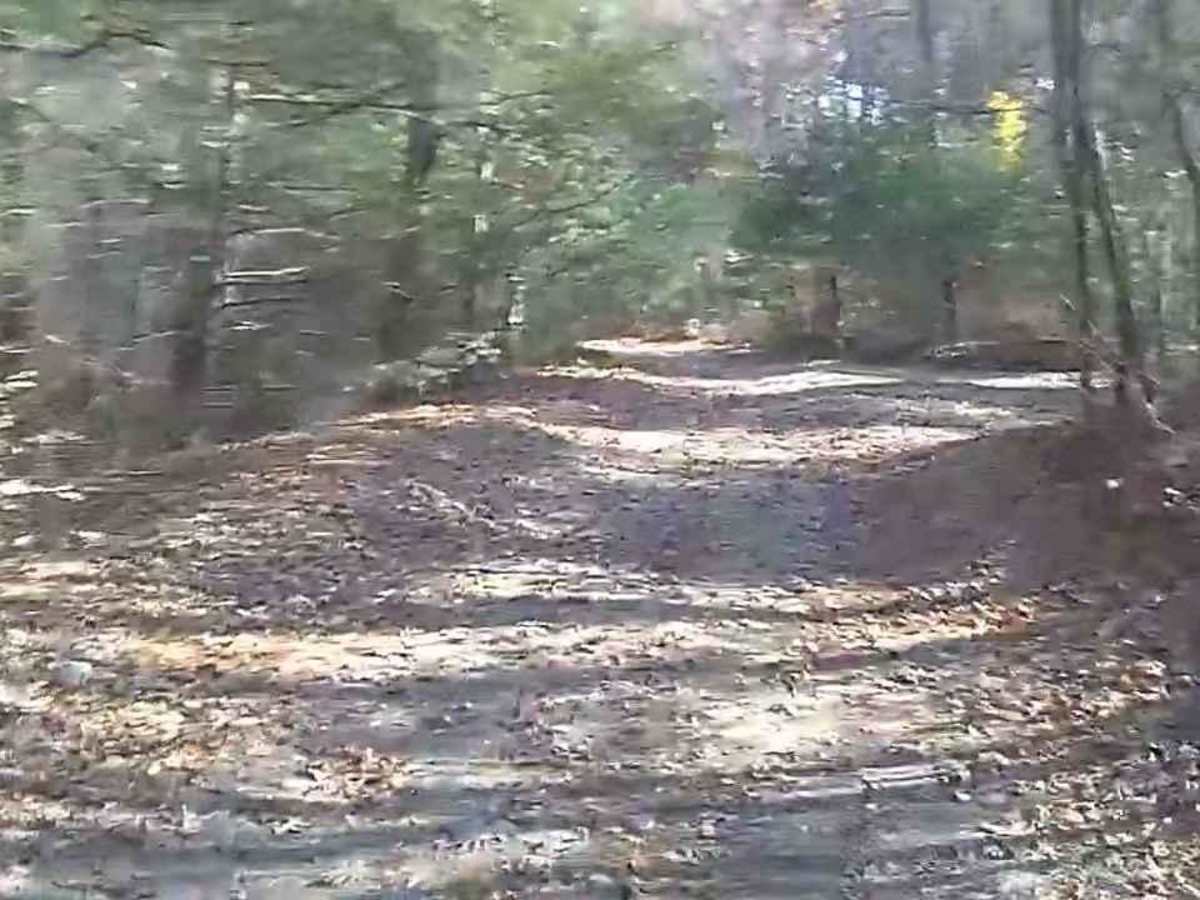 Wakefield Pond & Silver Brook Roads photo 5