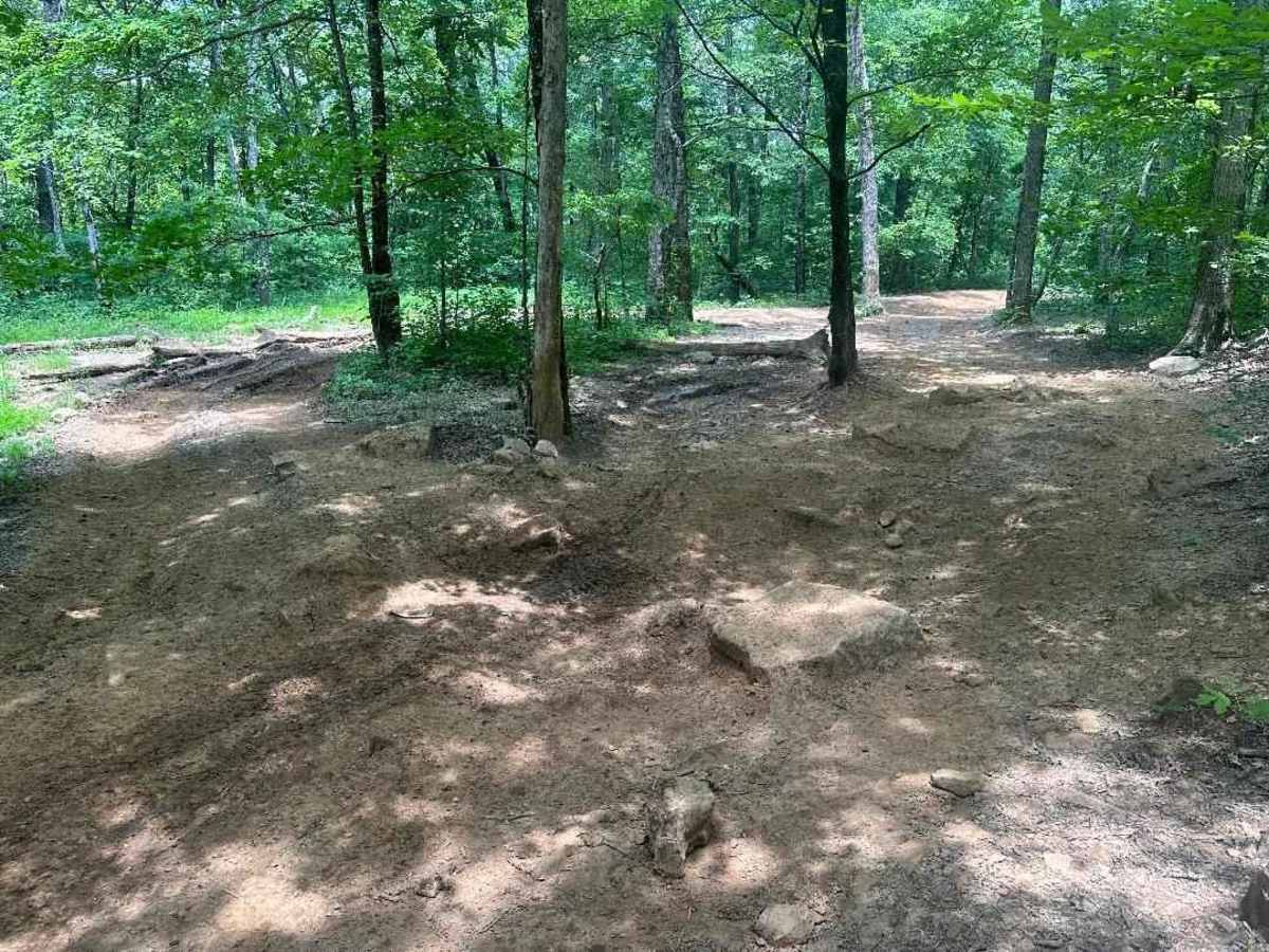 Lindsey Ridge - 1547 photo 6