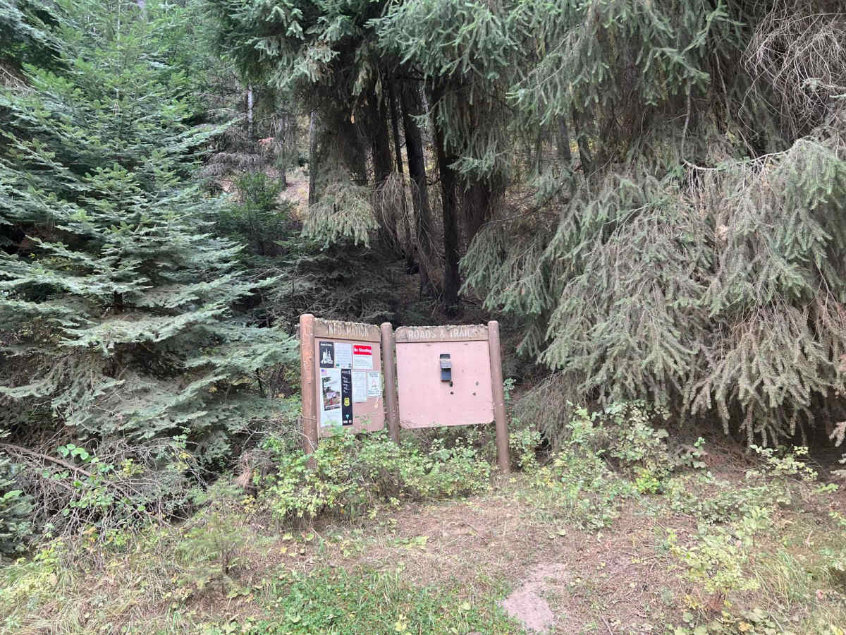 Deer and Pine Gulch photo 2