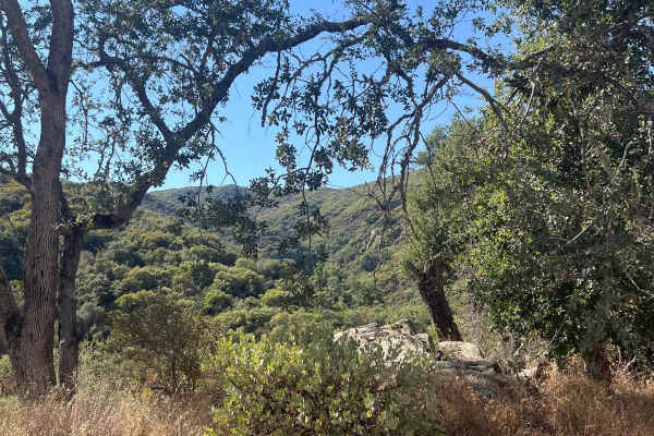 Hi Mountain Road