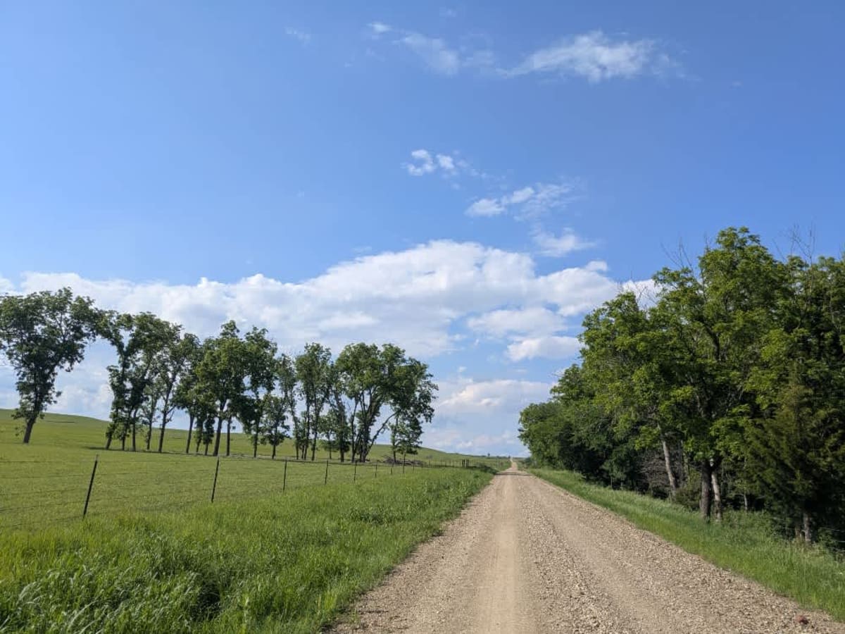 Road D photo 4