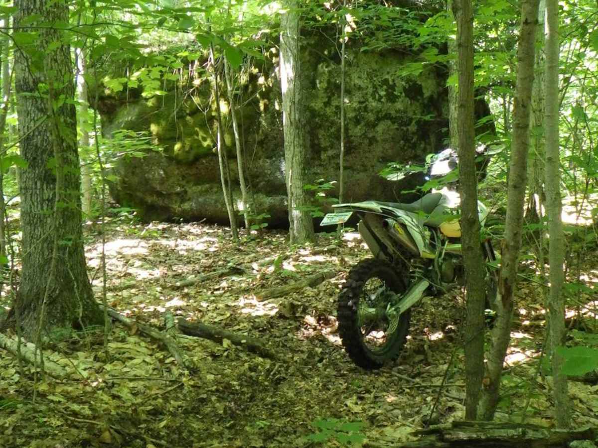 Brevort-Trout Lake Motorcycle Trail West trail photo