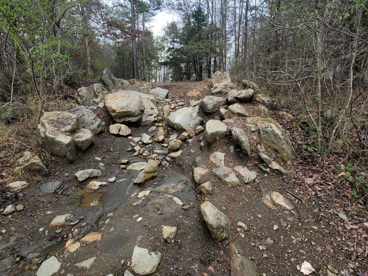 Hornets Nest photo 6