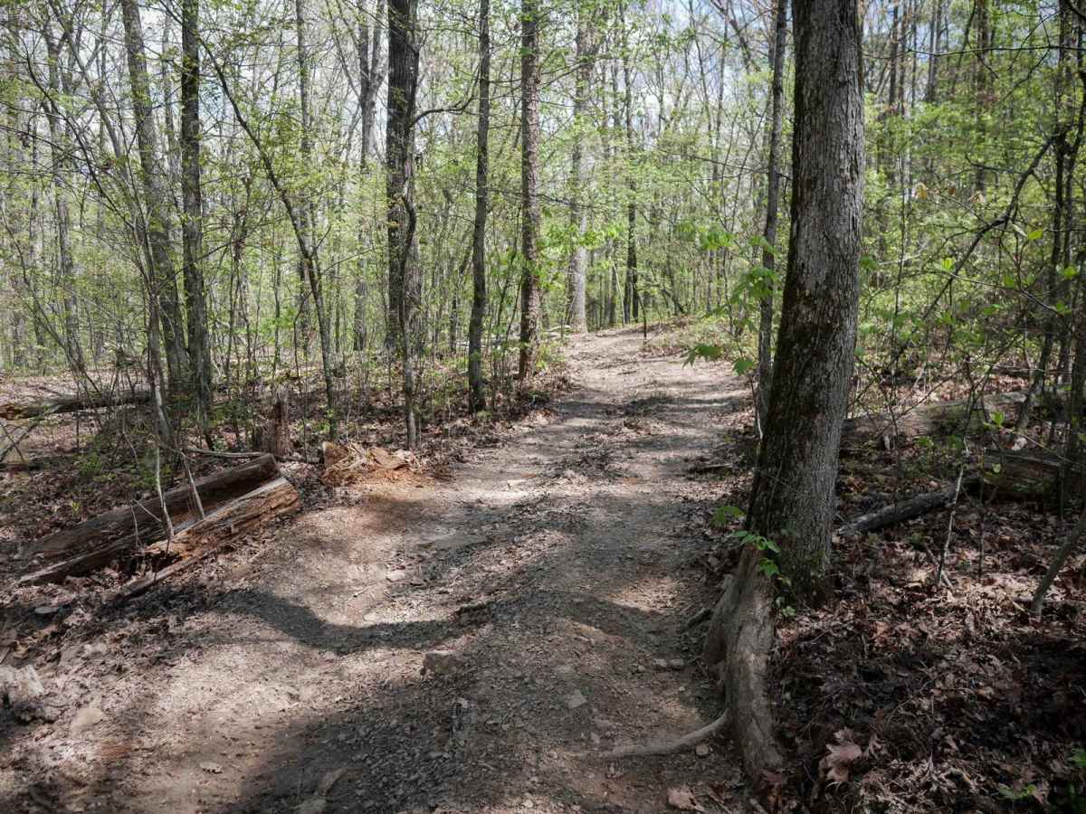 Black Oak Ridge Loop photo 5