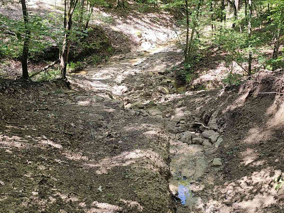 West Creek trail photo