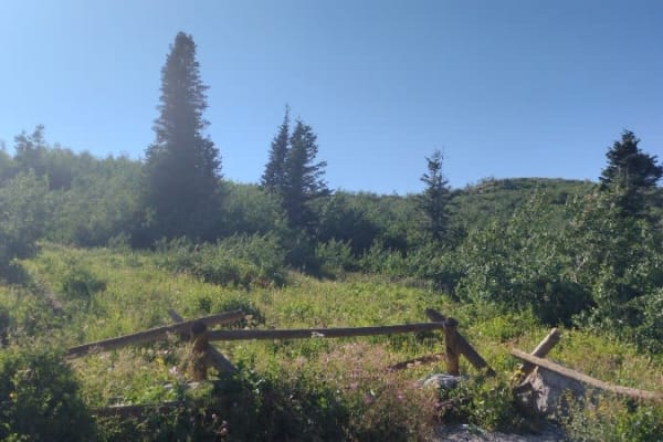 Sessions Mountain Road