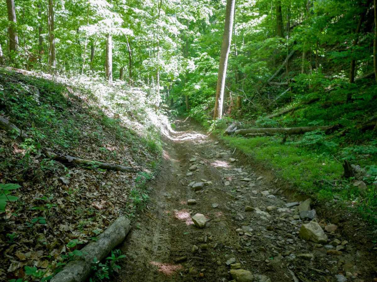 Trail 28 Razor Ridge photo 4