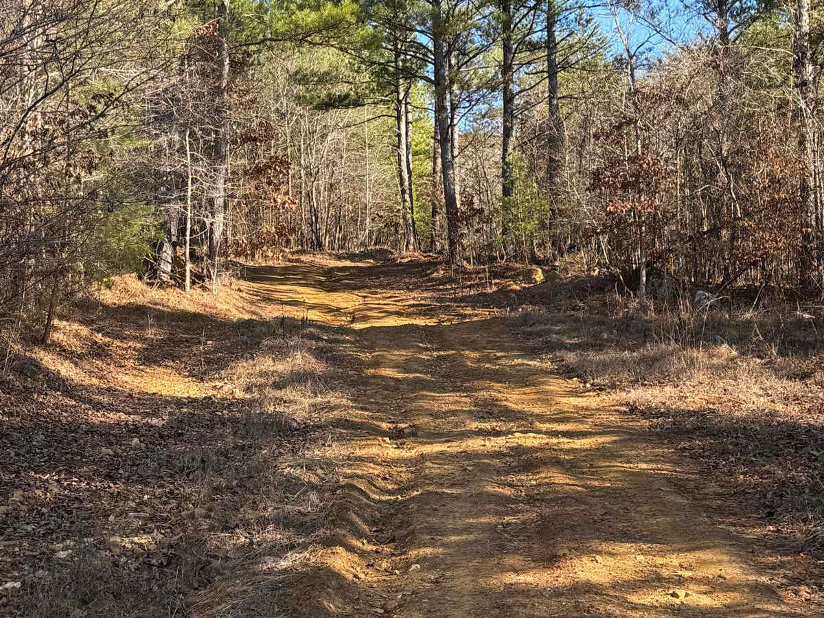 #21 Maynard's Trail photo 5