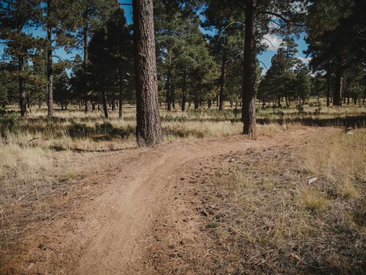 Airport Connector trail photo