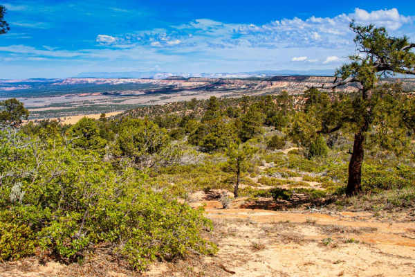 Water Canyon-Hell Dive Canyon Road (BLM052)