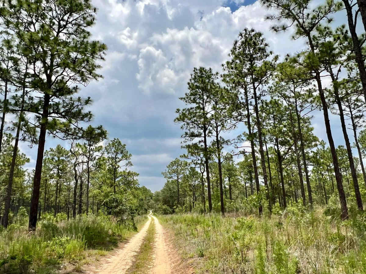 Citrus Wildlife Management | 11B photo 3
