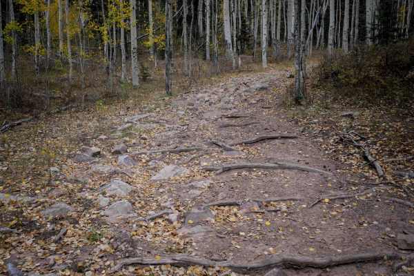 Mule Mountain