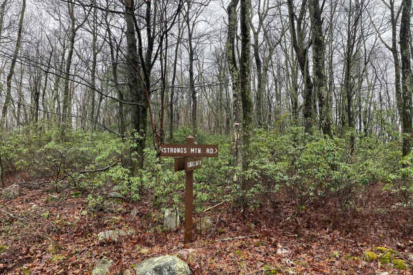 Strongs Mountain Trail (Mid Portion)