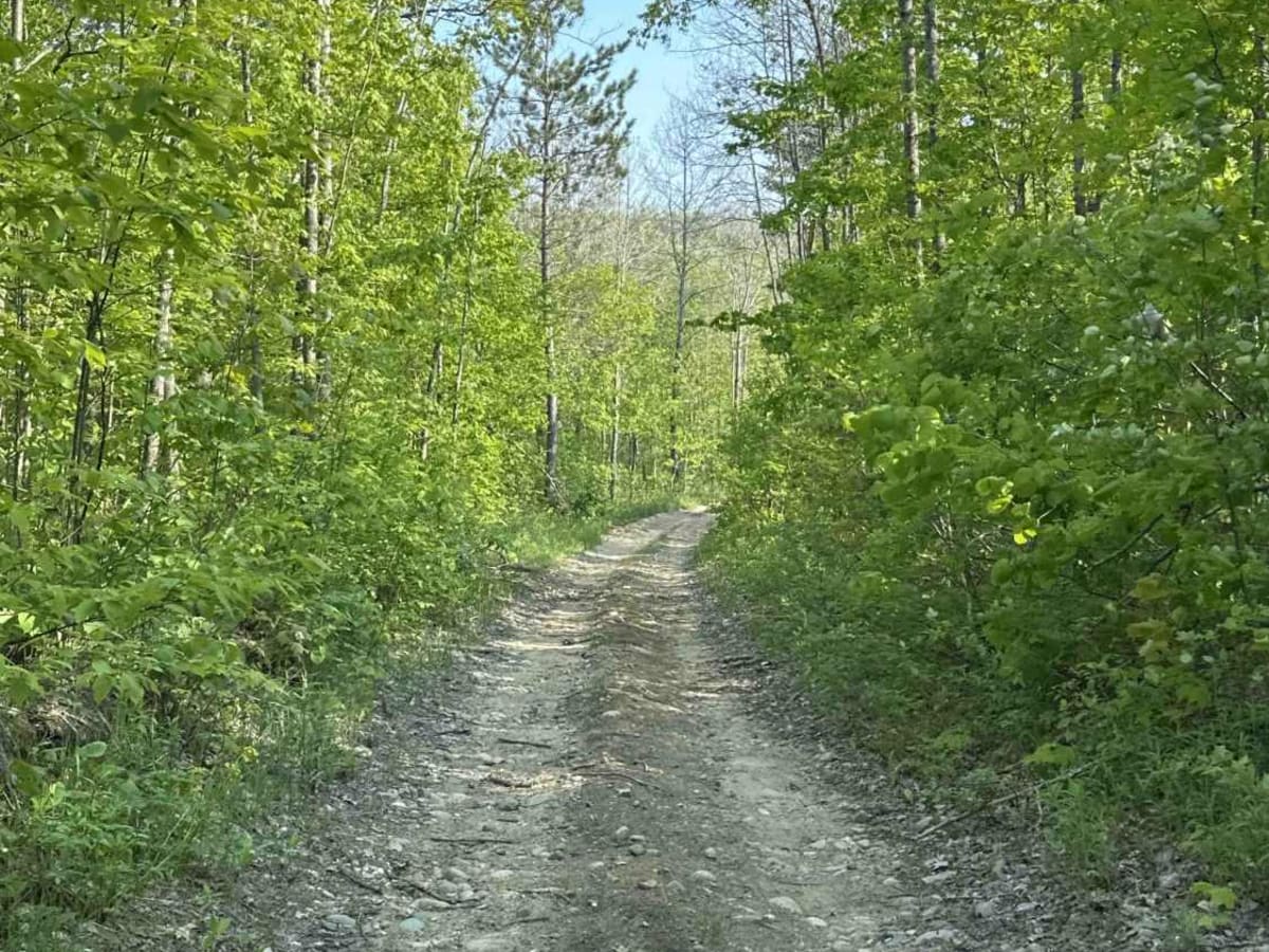 FS 4579 photo 3