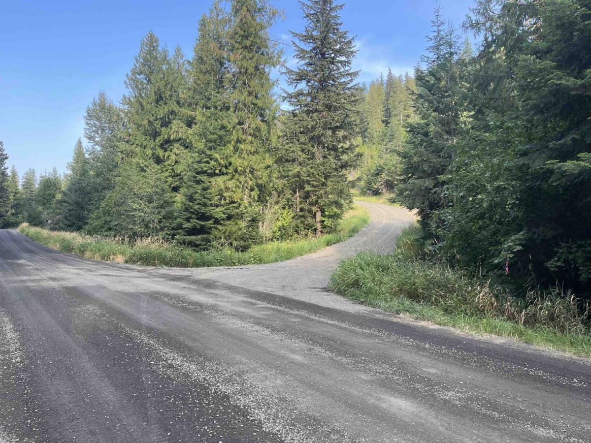 Crane Point/FS 1273 trail photo