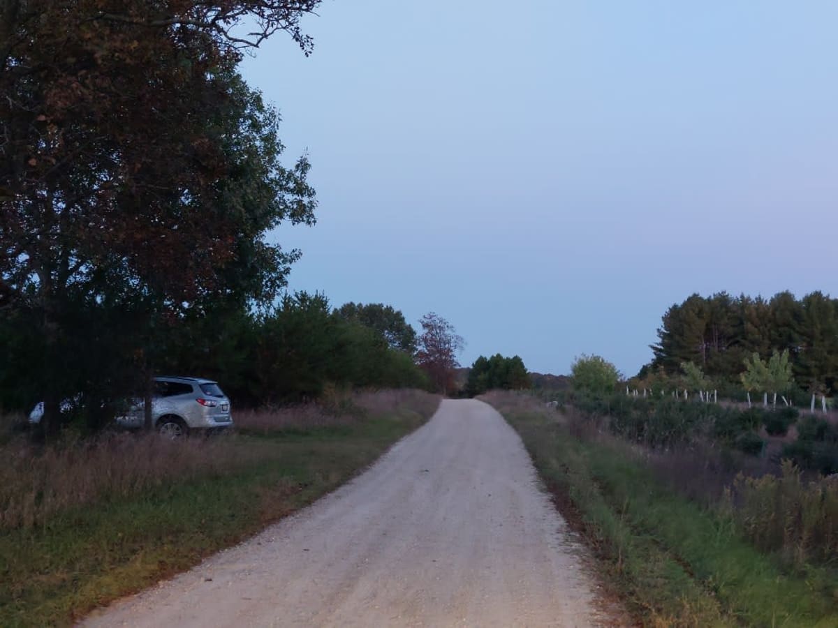 Pine Bluff photo 5