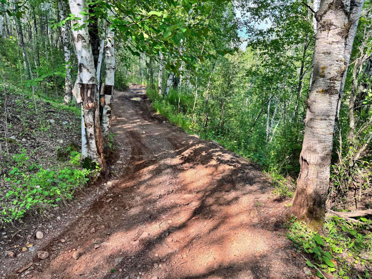 Berry Trail photo 6