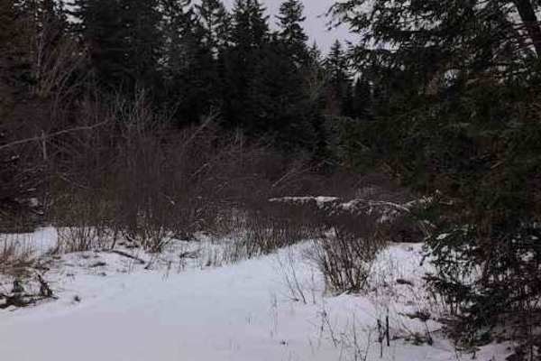 Crow Hill Loop