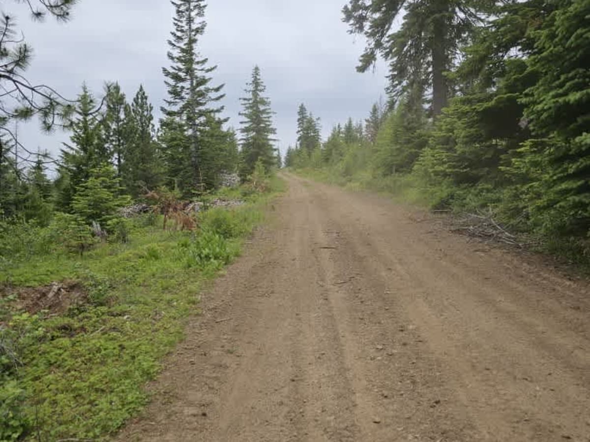 Beer Bowl trail photo