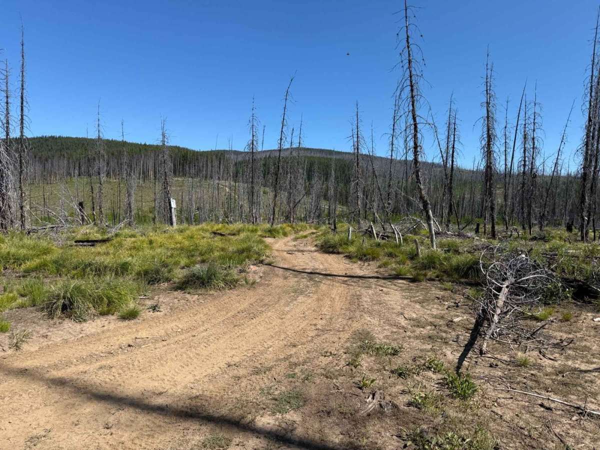 Green Mountain photo 2