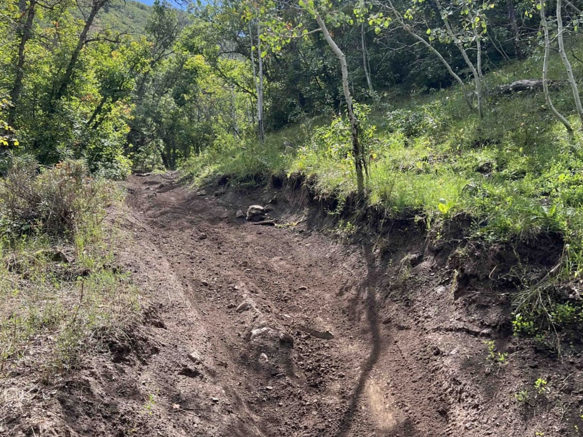 Kirkman Hollow (8012) photo 5