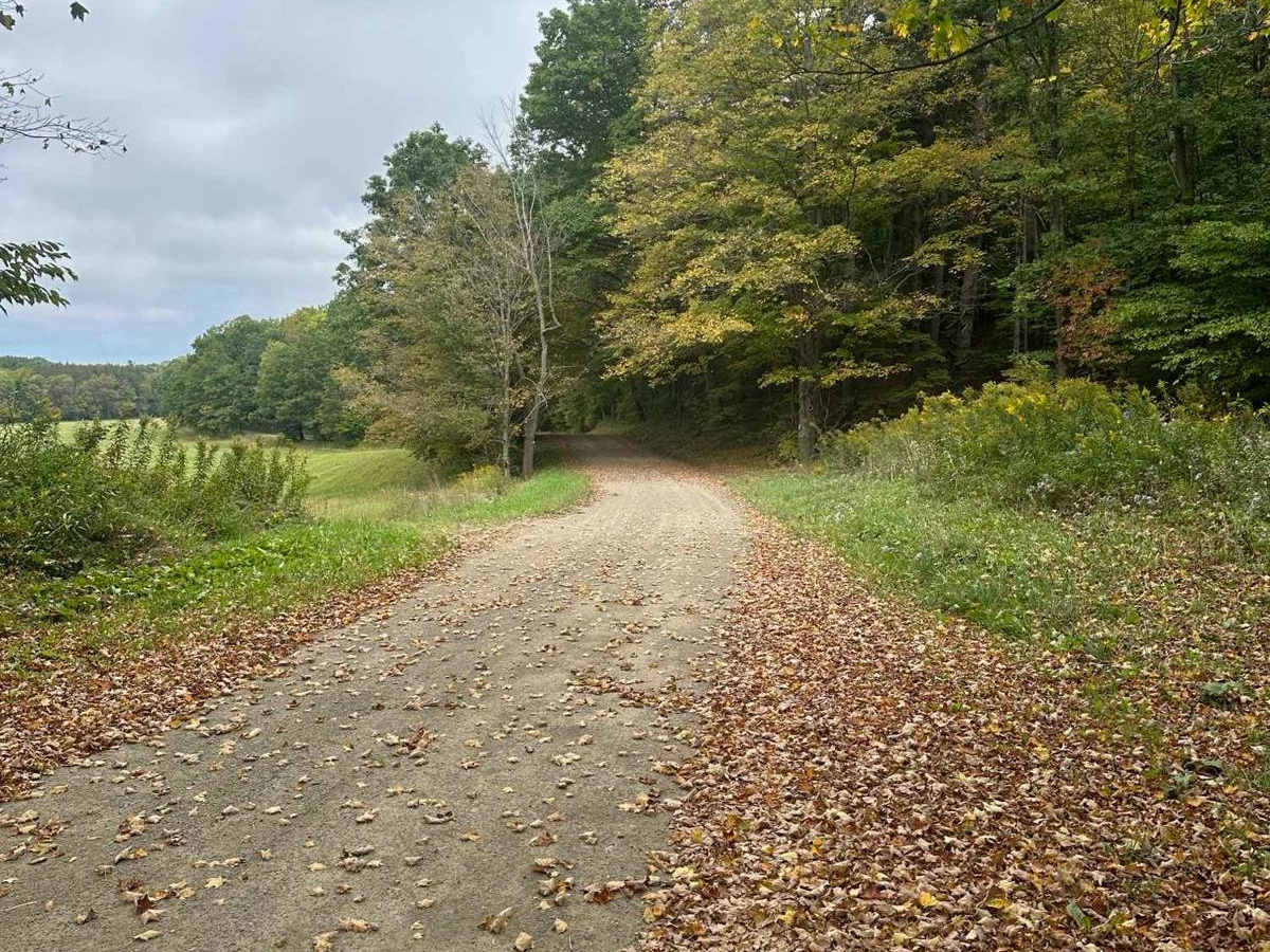 Sturdevant Road (Seasonal) photo 2