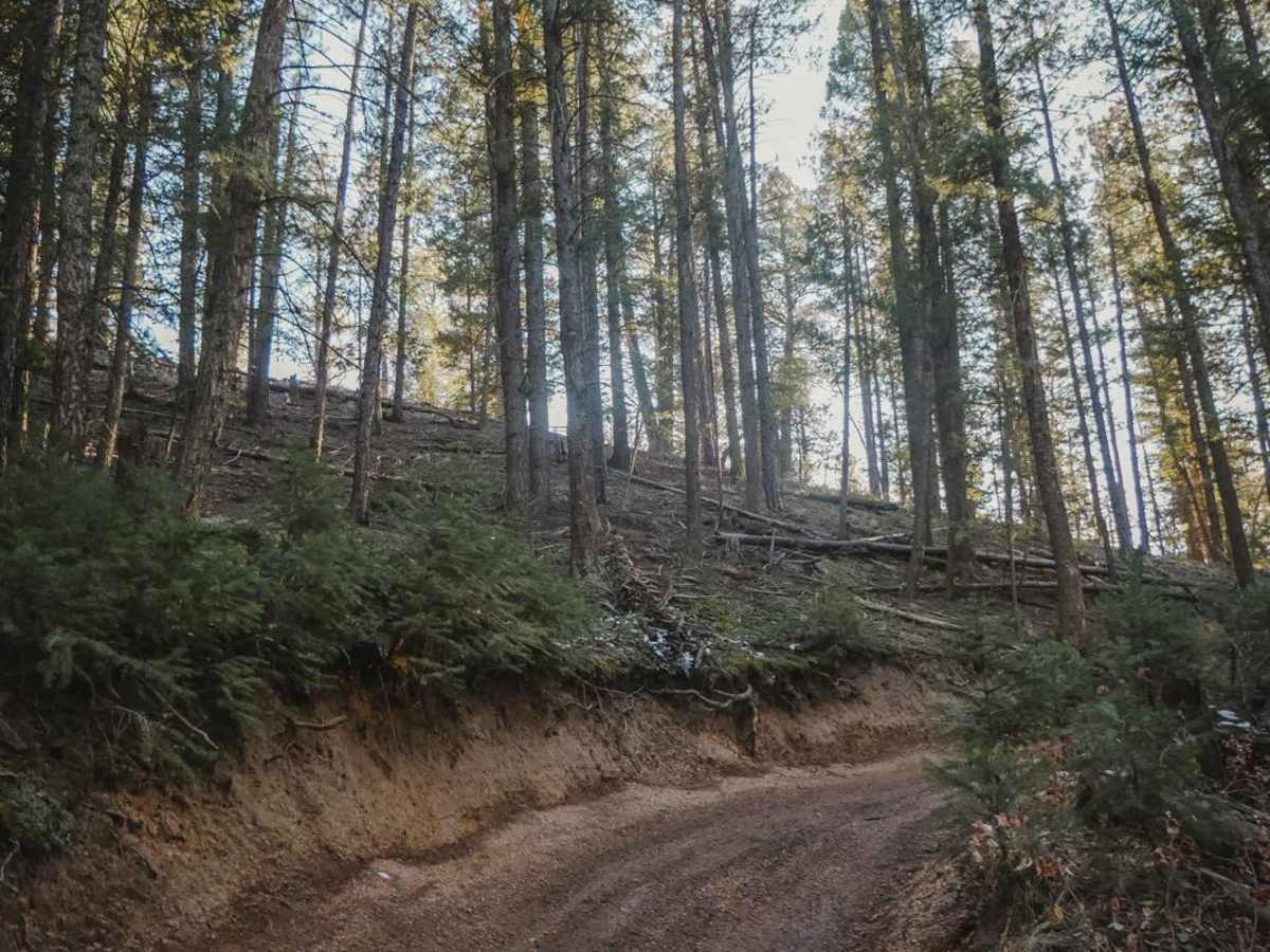 673 Barr ATV Trail photo 5