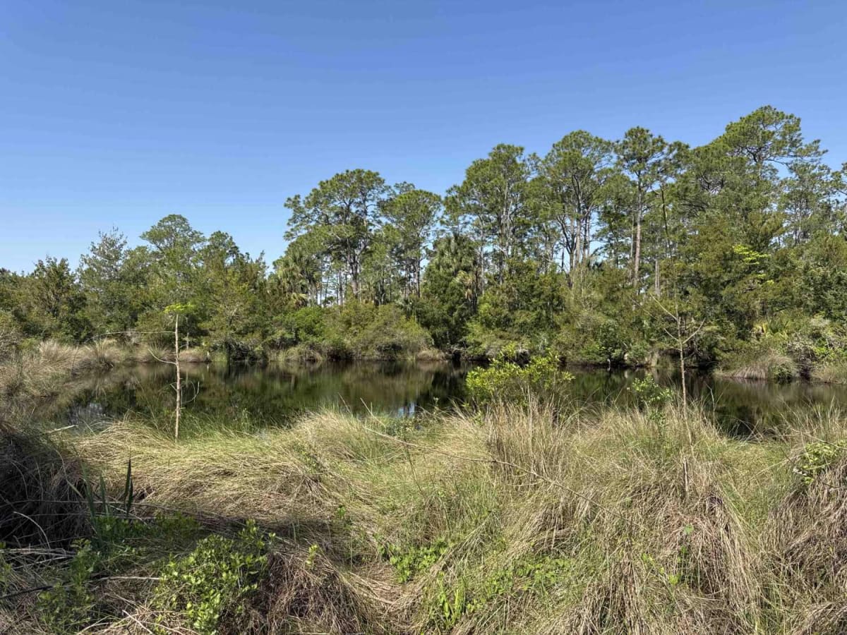 Wakulla Beach photo 3