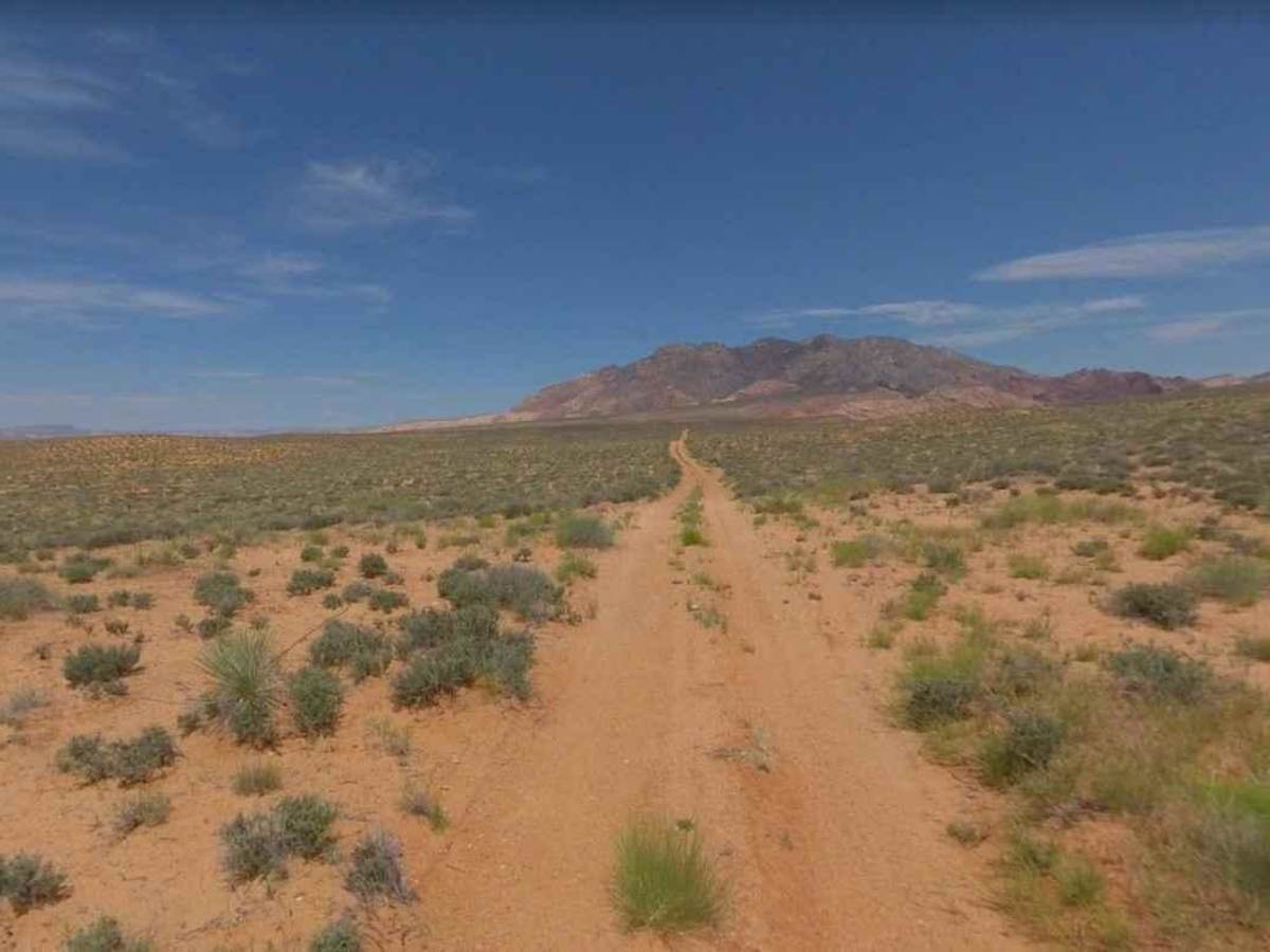 BLM13476 photo 3