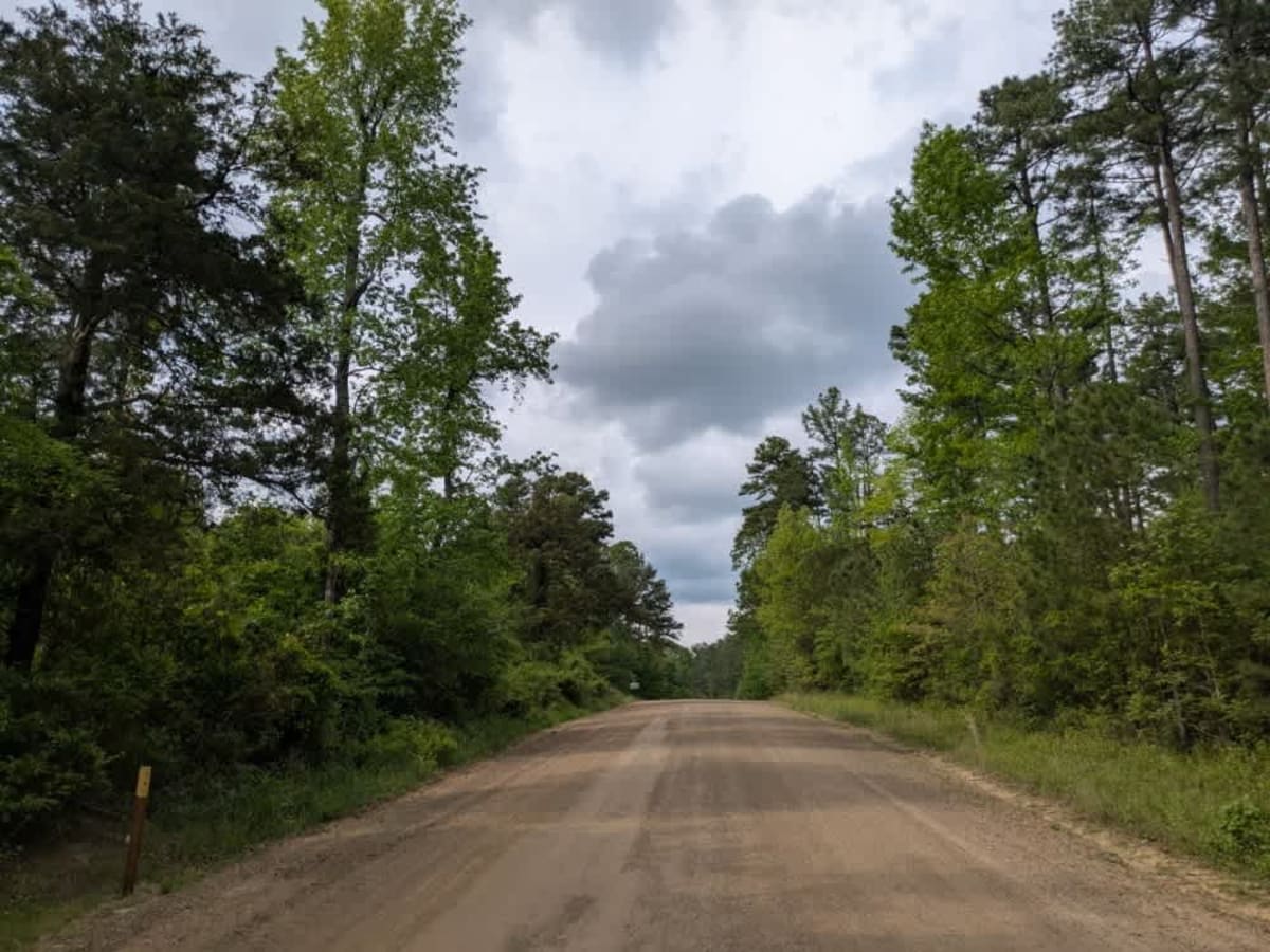 Rich Mountain Road trail photo