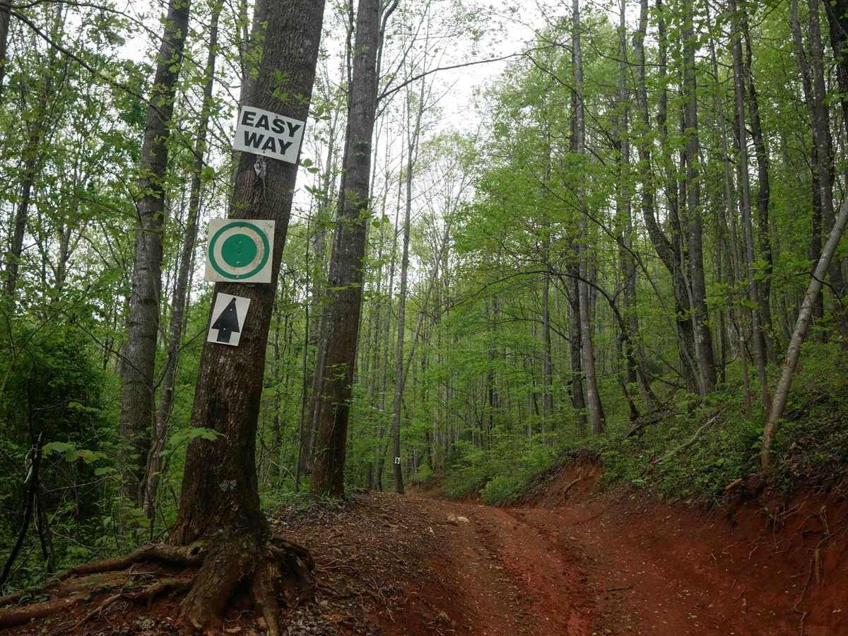 1B Shortcut photo 2