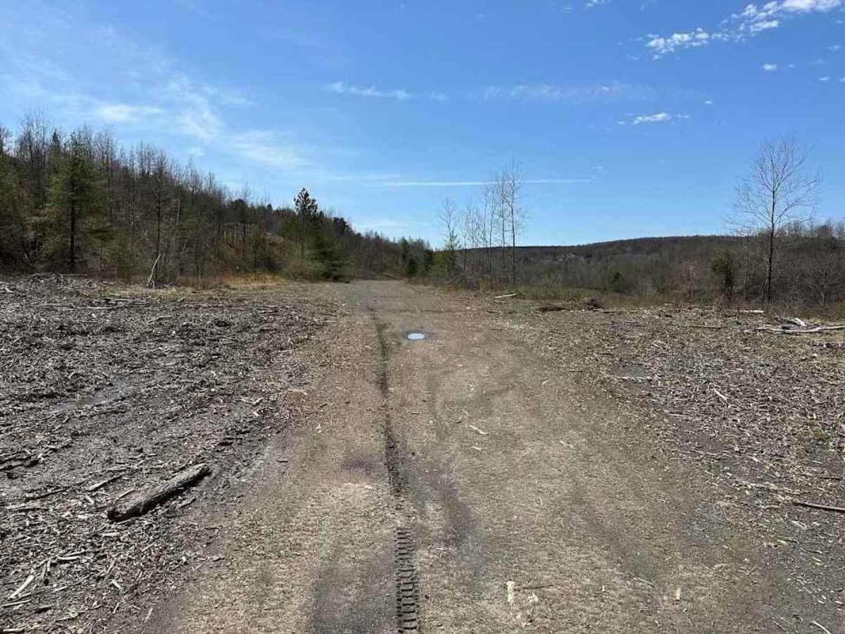 St. Keirns 55 trail photo