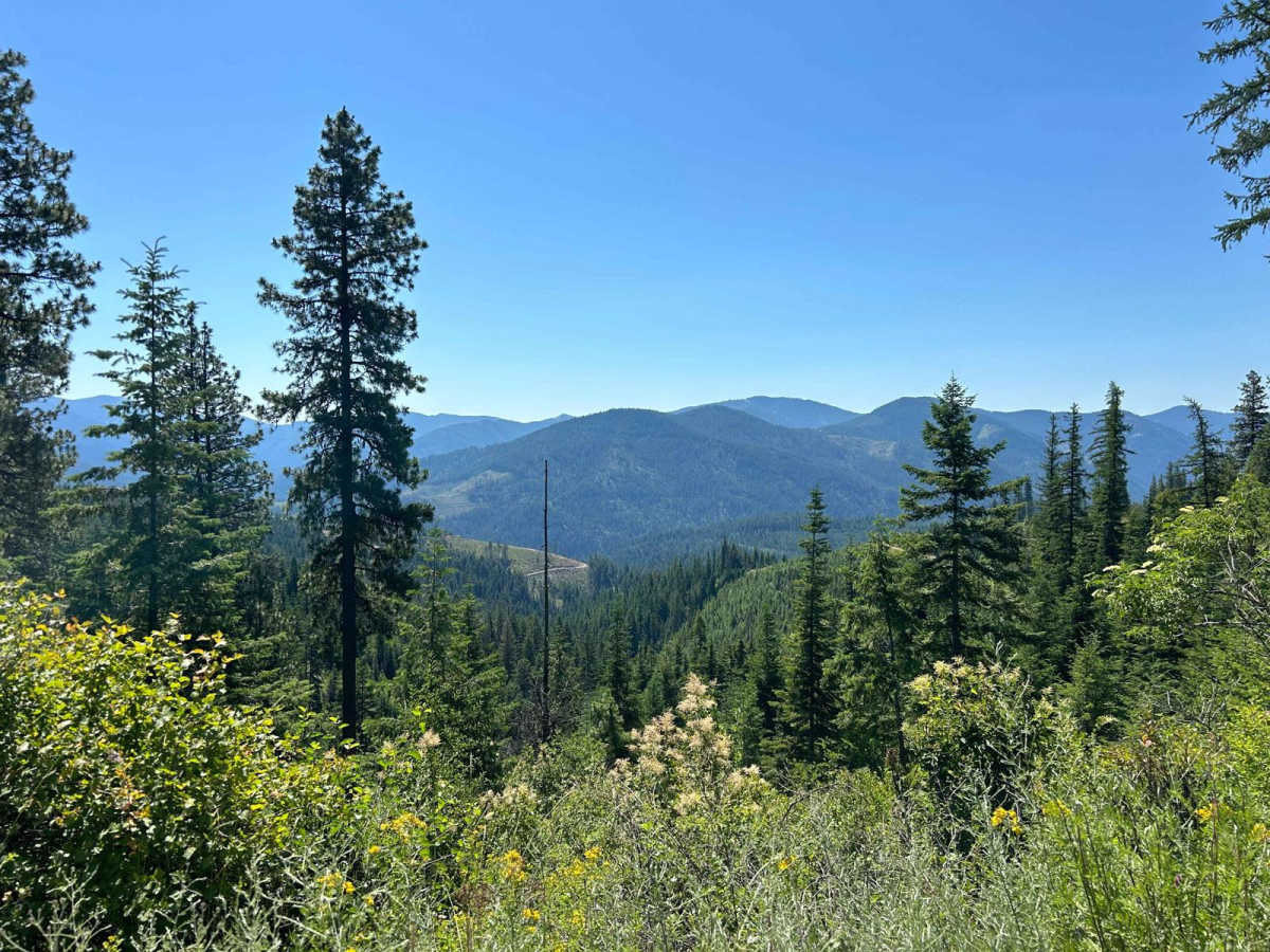Frost Peak photo 5