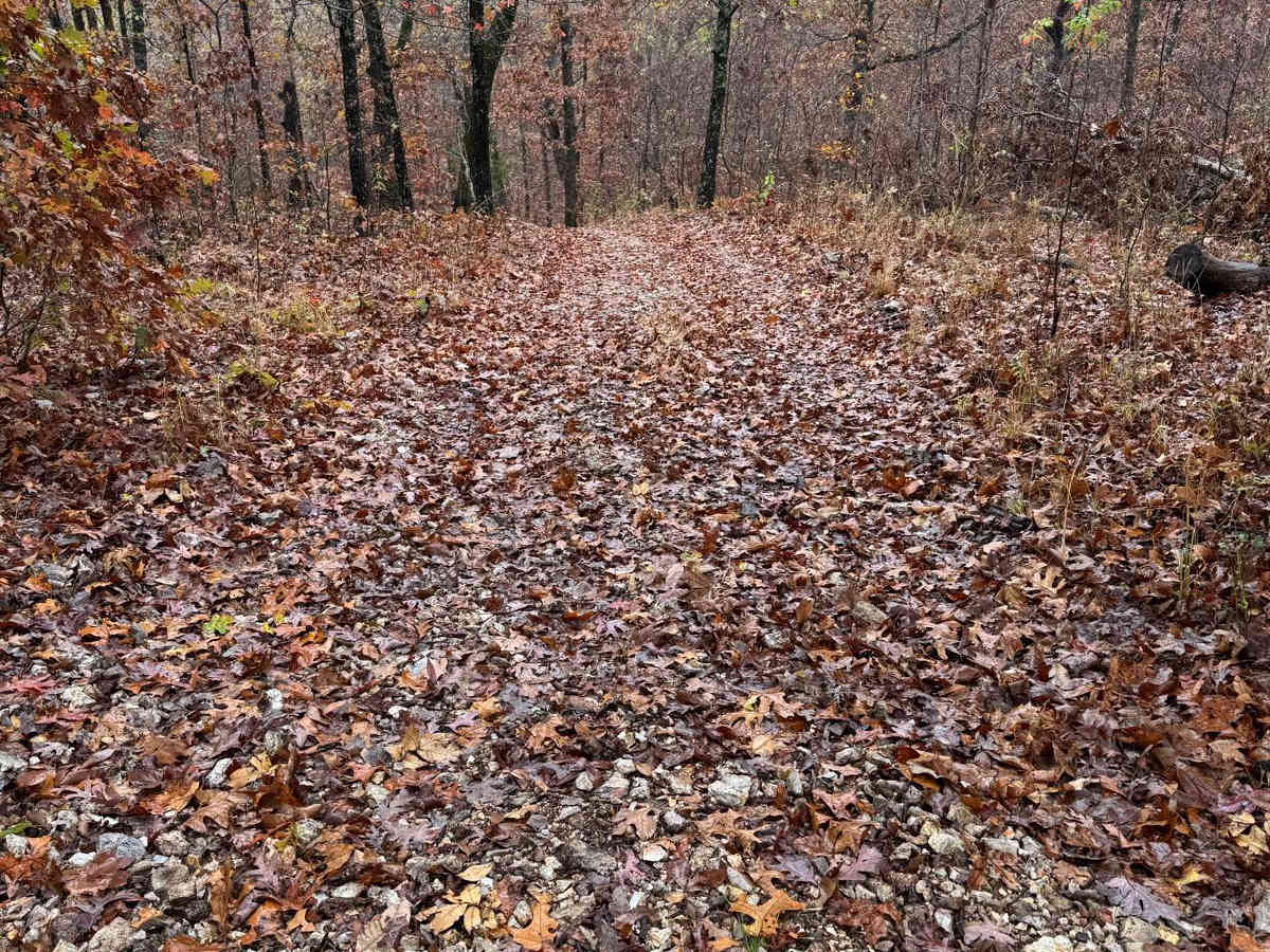 Marble Hill 91 trail photo