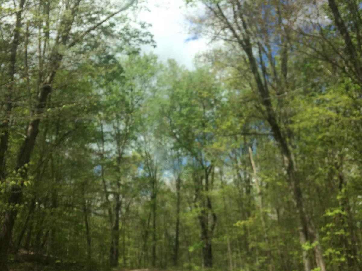 Bethel photo 2