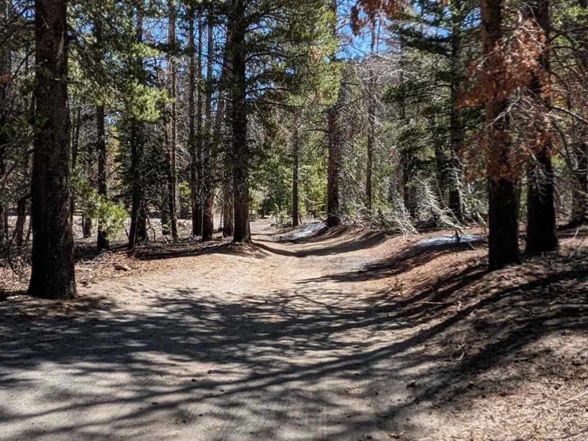 Inyo Crater Road photo 2