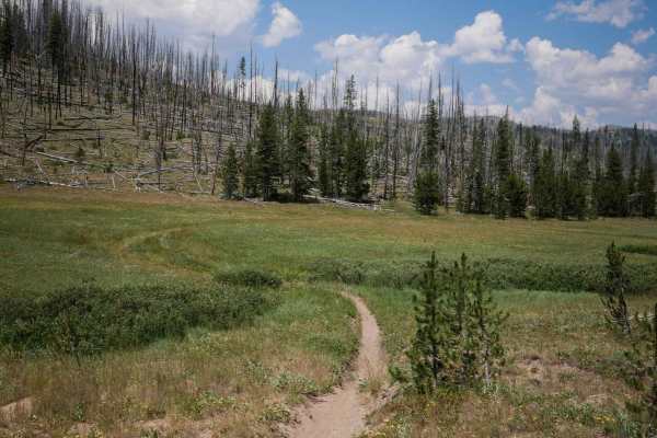 Little Basin Creek