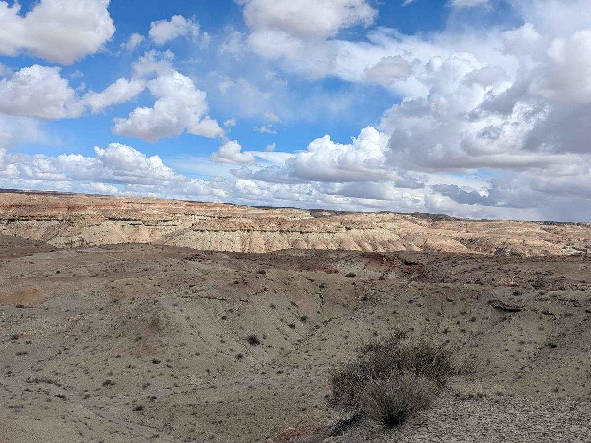 Coal Wash North trail photo