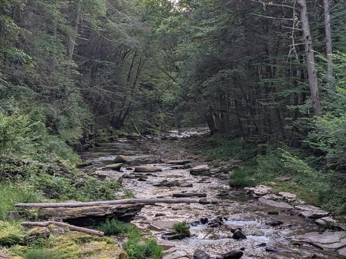 Hoagland Branch Road photo 6