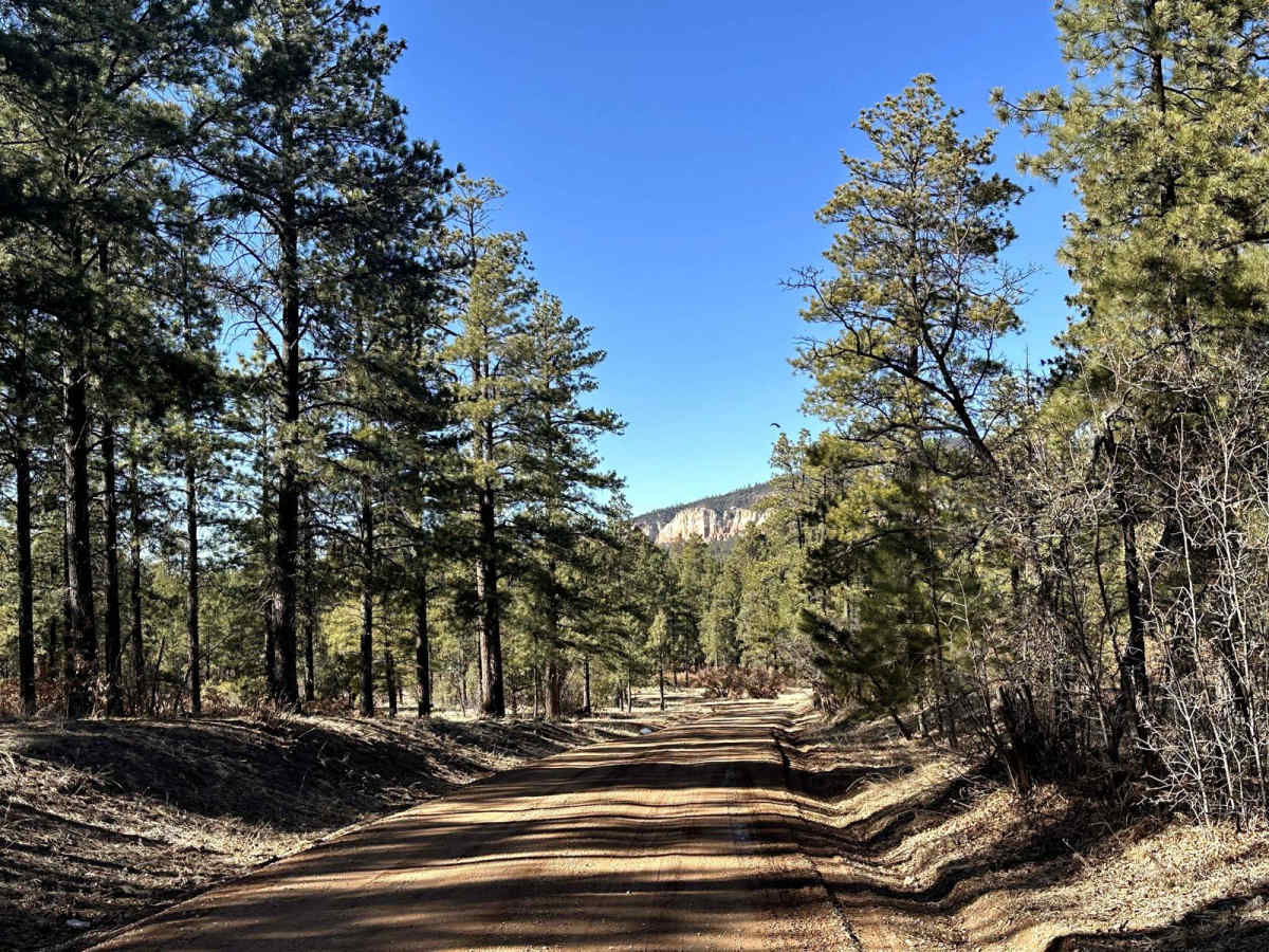 FR103 Run to Rio Puerco trail photo