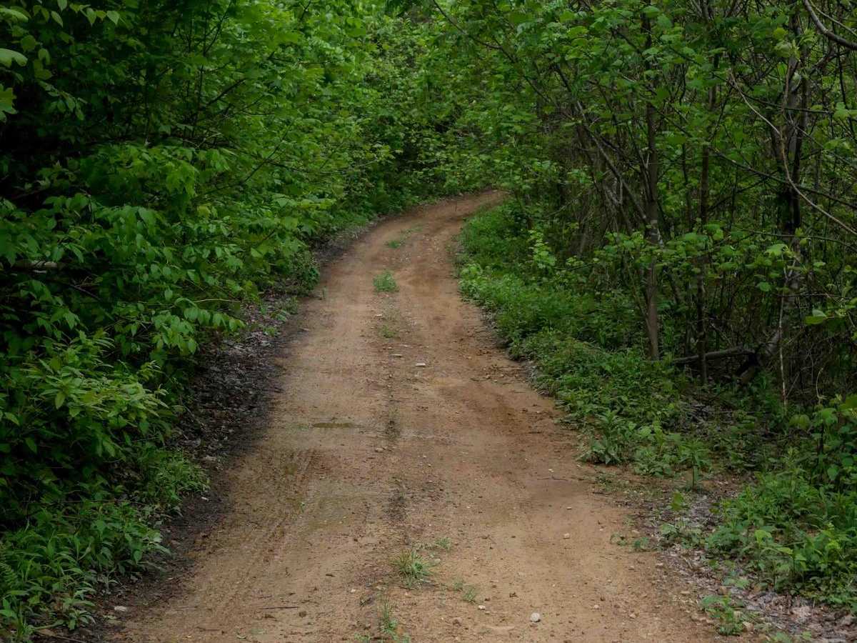 OP 19 trail photo